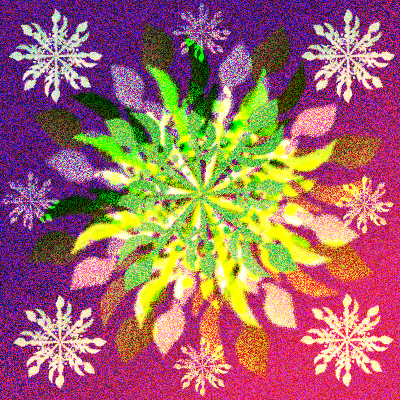 遅れましたが by ちゃか 26/01/04