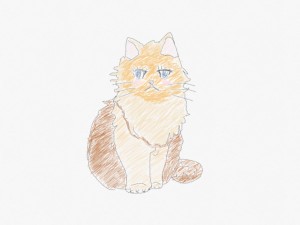 Re: 綠谷出久五分チャレンジ by しらほと